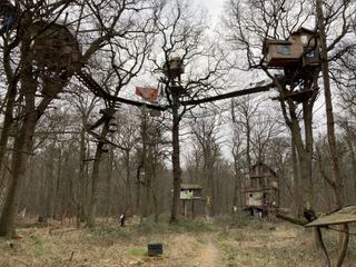 "A part of the tree house squats in the Hambacher Forst. High in the top of the tress tree hosuses have been built. Those are connected by skywalks, a net in the middle protects from falling down. Larger constructions are near the earth."
